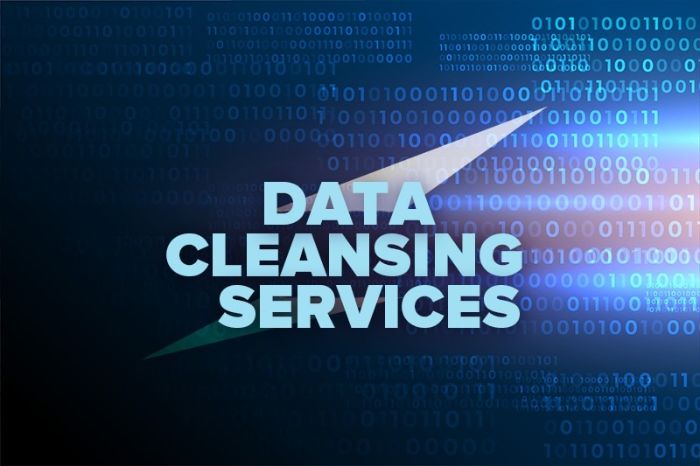 Data Cleansing Services for Reliable Business Intelligence