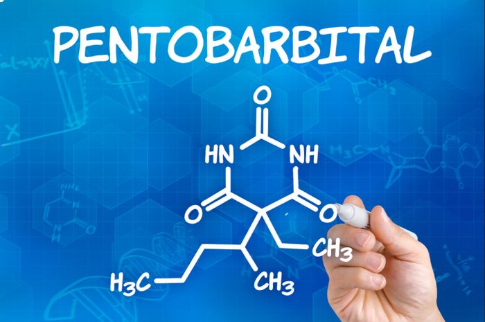Nembutal Oral Liquid Purchase Pentobarbital online Nembutal Dosage