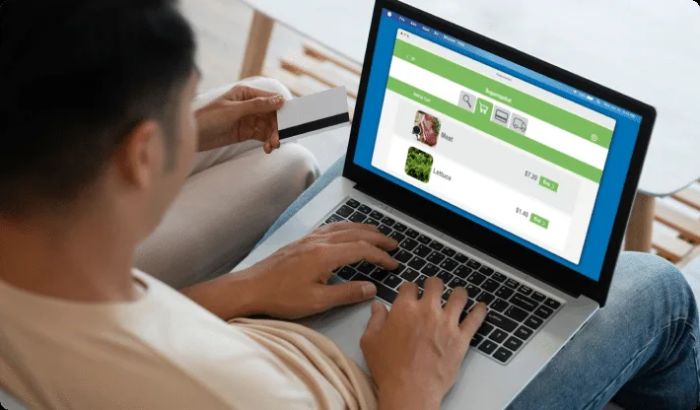 Shopify Web Developer for Custom Projects