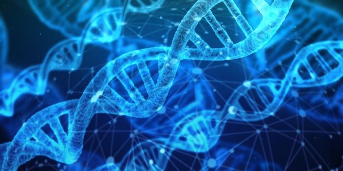 Testing for Cellular Aging