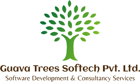 custom software development company in USA