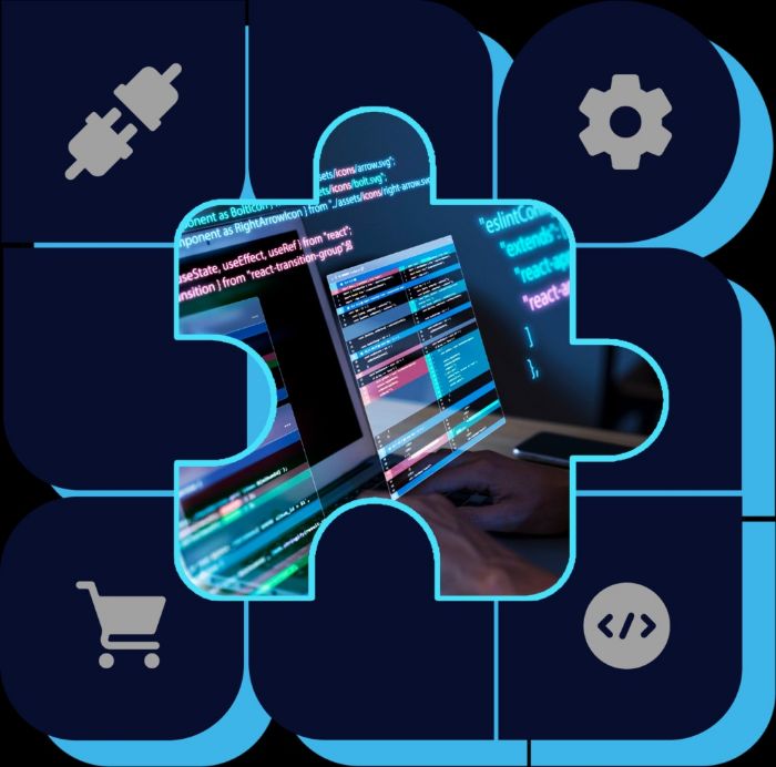 Shopware 6 PluginEntwicklungs experte