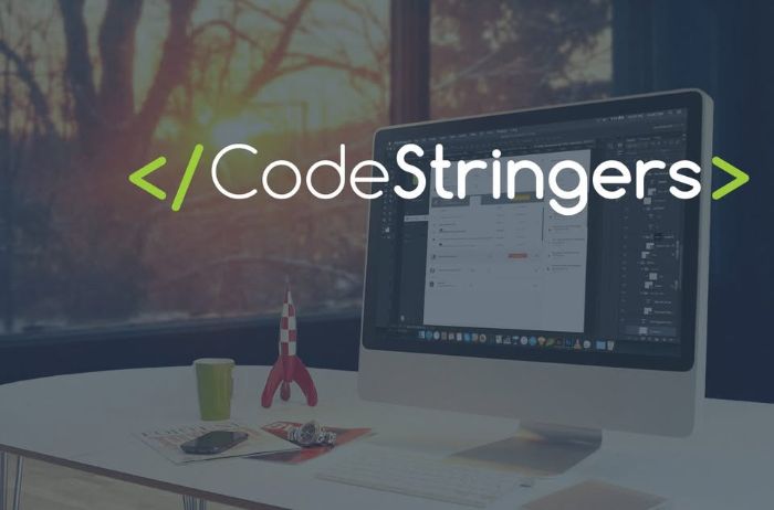 Custom Software Development Services by CodeStringers, Inc.