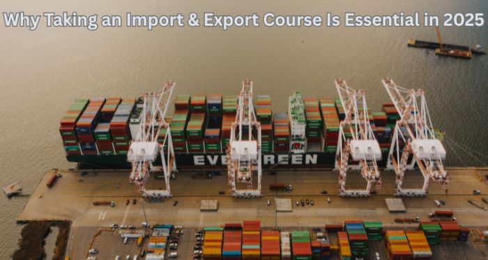 Why Taking an Import Export Course Is Essential in 2025?