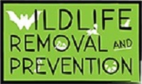 Wildlife Removal Prevention