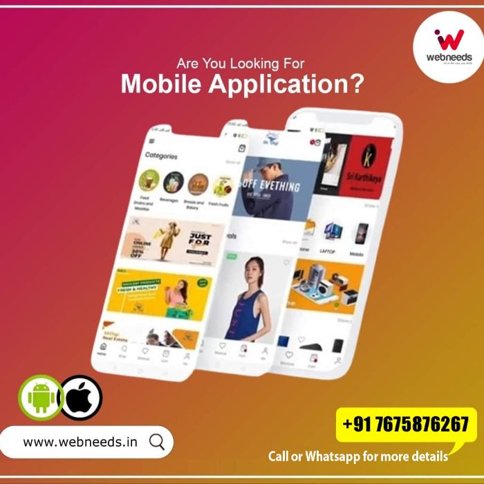 Best Web Ecommerce Development Company WEB NEEDS