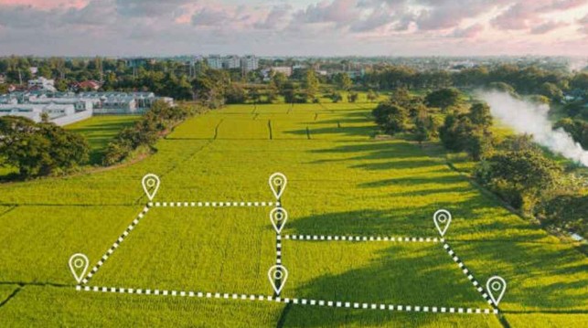 Cash for Land USA: Nationwide Land Buyers You Can Trust