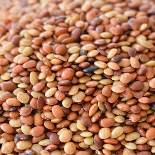 Kulthi Dal For Kidney Stone