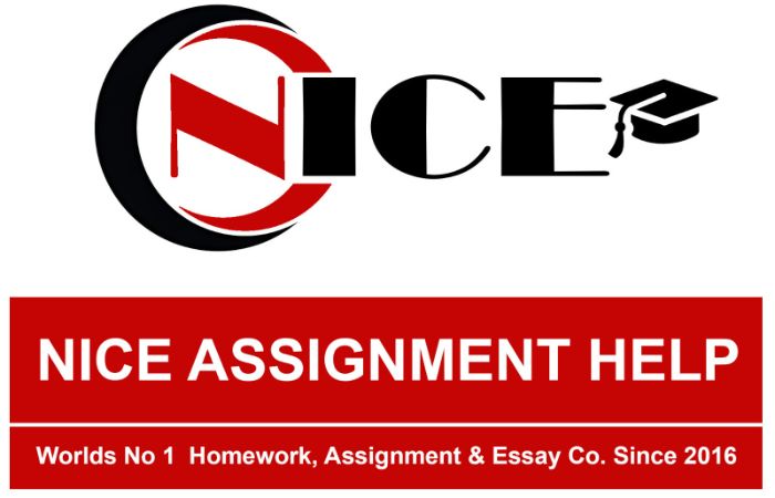 Do My Auditing Assignment for Me Expert Help