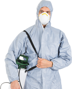 Exterminator in Buffalo