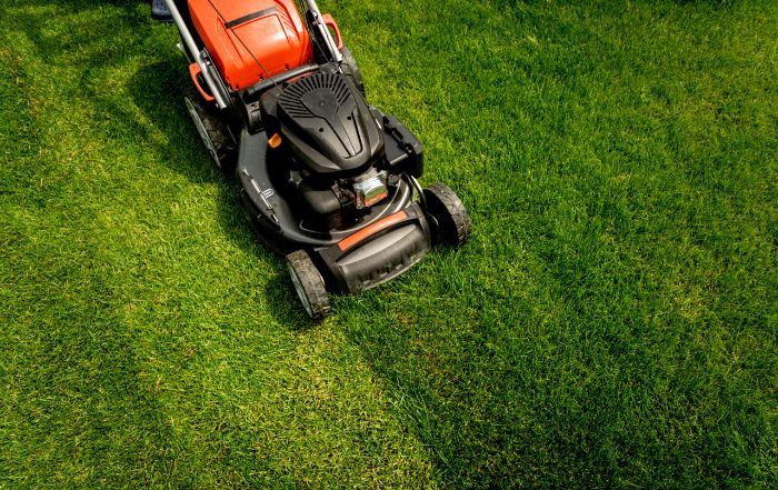 Green Stripes Lawncare LLC