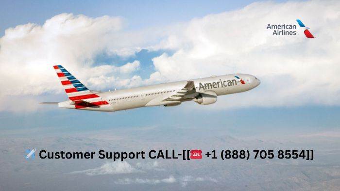How to Get Support for Flight Issues?