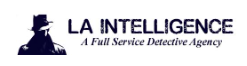 LA Intelligence