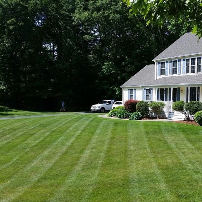 Landscapers In Easton