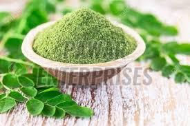 Moringa Powder Exporter