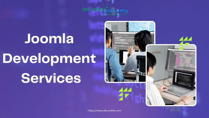 Outsource Joomla Development Company,Joomla Plugin Development India