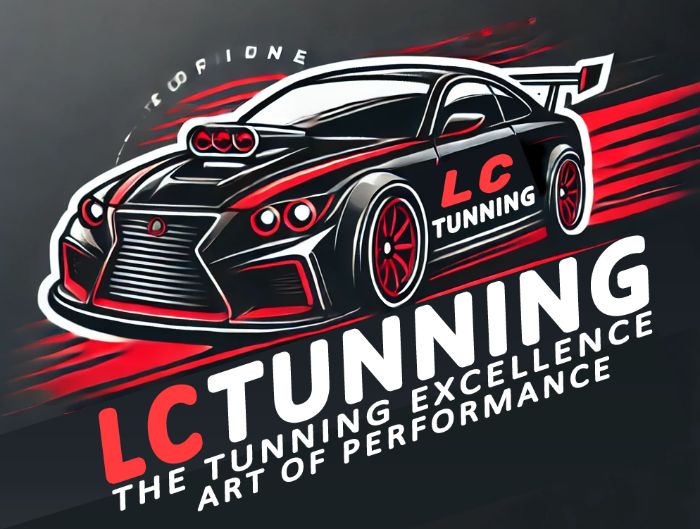 Professional Auto Tuning and ECU Remapping Services LC Tunning Services