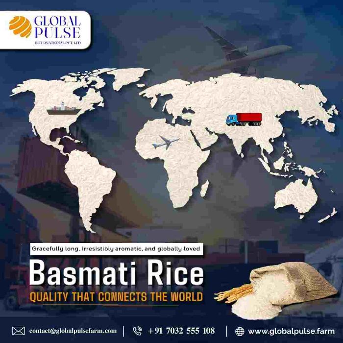 pulses export from india