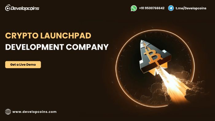 Crypto Launchpad Development With Integrated Wallet Support