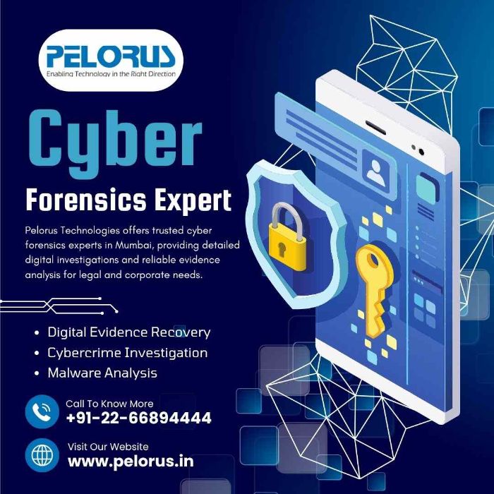 Cyber Forensics Expert Digital Forensics lab