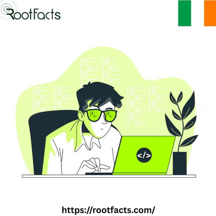 What skills should you look for when hiring Python developers in Dublin?