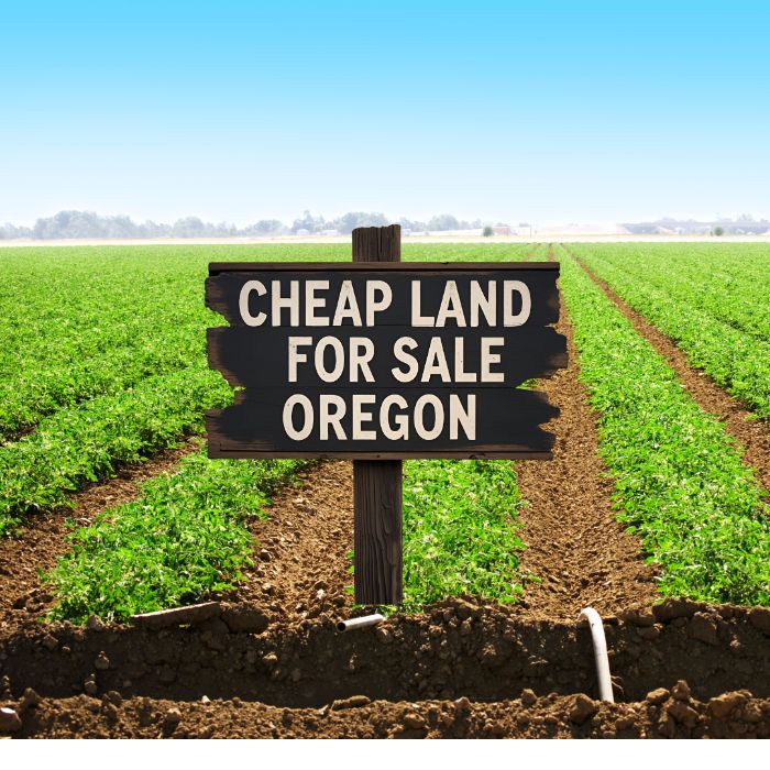 Buy Cheap Land for Sale in Oregon Starting at Low Prices!