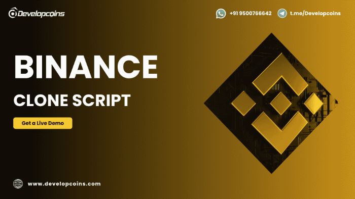 How Wallet Integration Boosts Binance Clone Script Functionality
