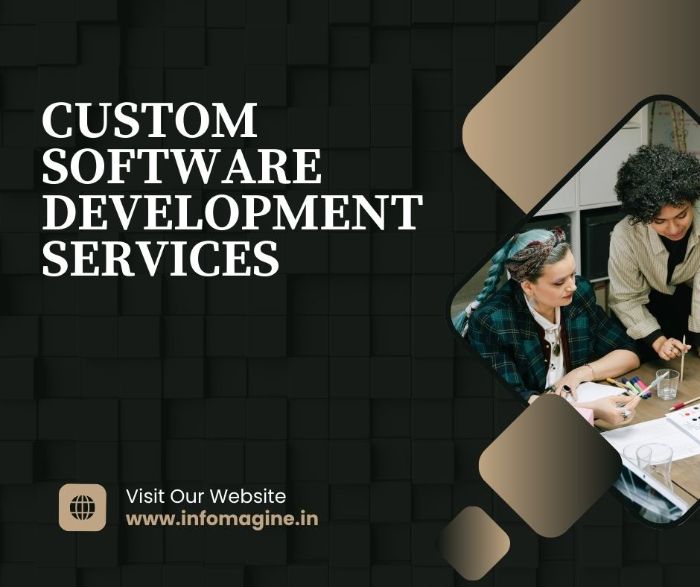 custom software development services