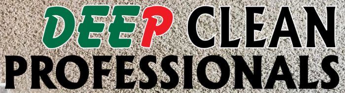 Deep Clean Professionals