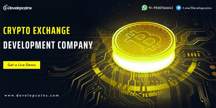 How to Launch a Successful Crypto Exchange Platform