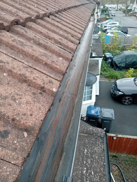 Local Gutter Cleaner Rain Gutter Cleaning