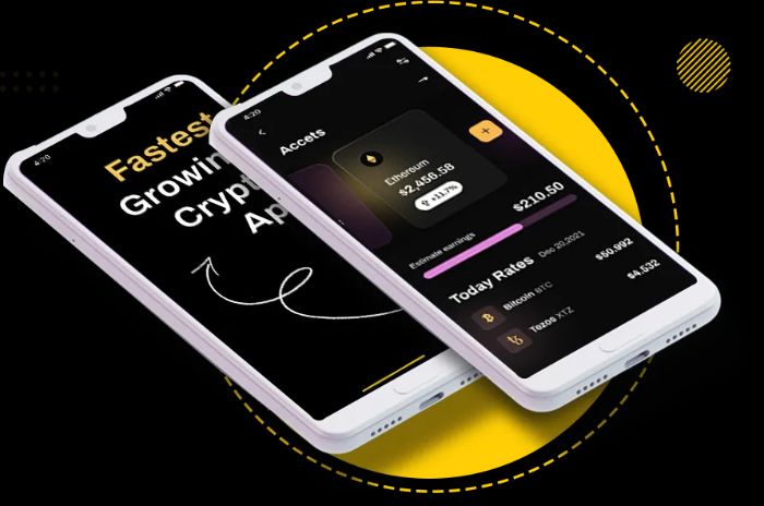 Dubais Leading Mobile App Developers iOS Android Experts