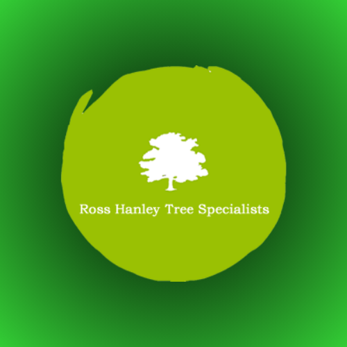 Expert Tree Surgery Ripon