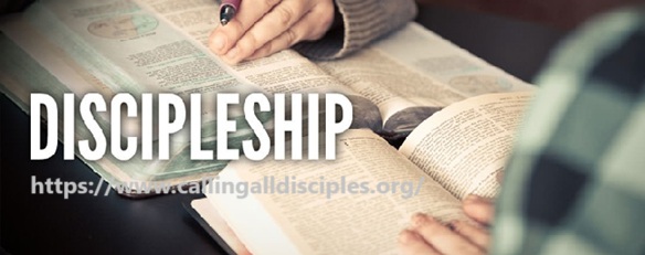 Find Best Discipleship Programs for Disciple Making