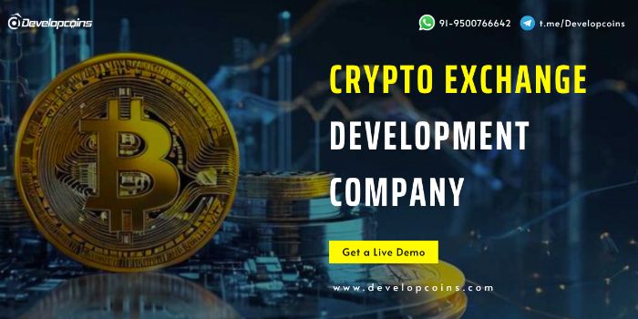 How to Choose a Crypto Exchange Development