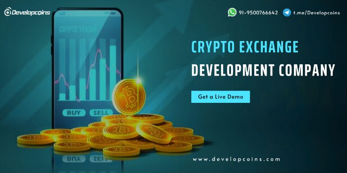 How to Choose a Crypto Exchange Development Company