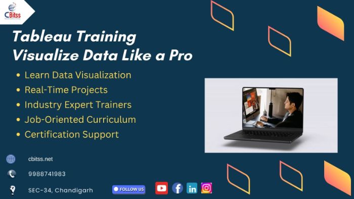 Master Tableau Transform Data into Impactful Insights