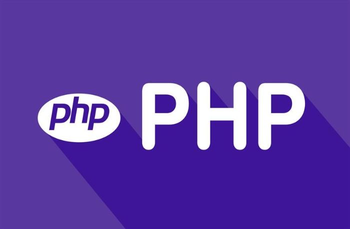 Outsource PHP Programming Outsource PHP Developers