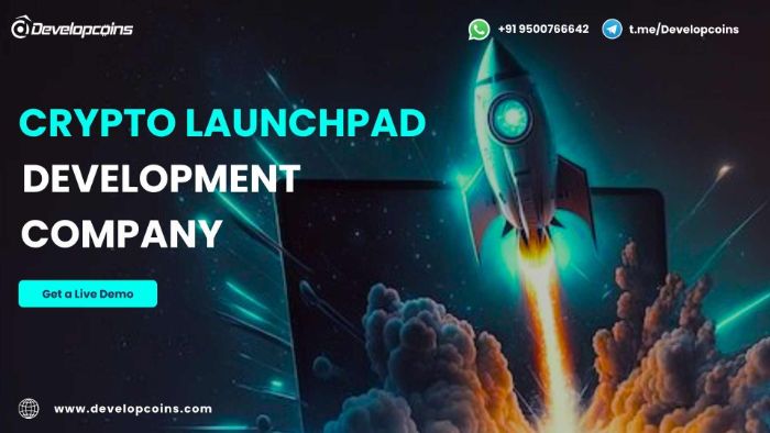 Power Your Web3 Vision with Scalable Secure Crypto Launchpad Development