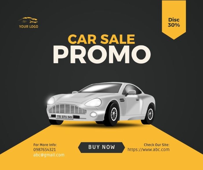 Sahiwal car sale service