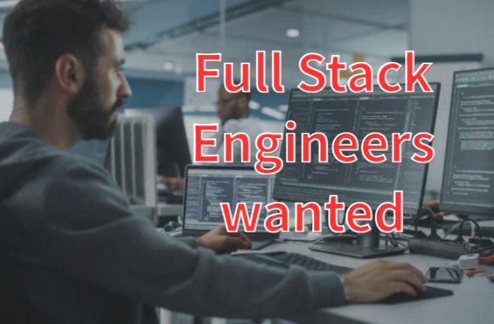 Software Developer React, Angular, SQL