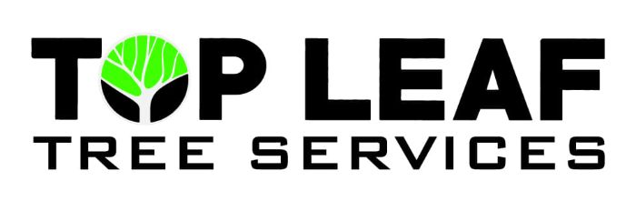 Emergency Tree Service 247 Tree Care At Your Doorstep