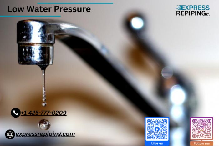 Express Repiping: Repipe Specialists Seattle