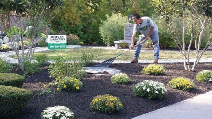 Landscape Planting in Easton