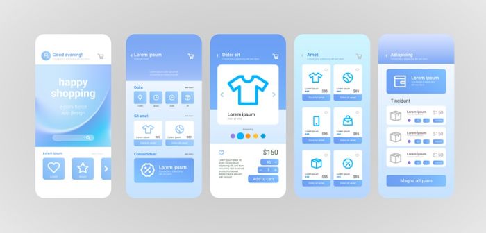 Laundry app development