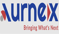 Transform Your Finances with Expert CFO Services by Aurnex