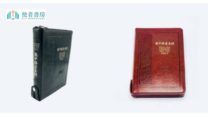 Bilingual Bible English Simplified Chinese Pinyin Bible Online Ambassadors for Christ Book