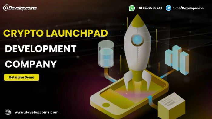 Crypto Launchpad Development with EndtoEnd Smart Contract Security