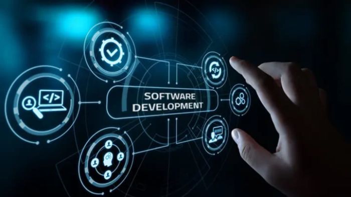 Get Custom Development Solutions USA The Code and Clicks