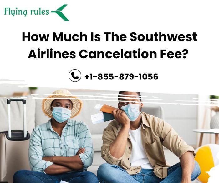 How Much Is The Southwest Airlines Cancelation Fee?